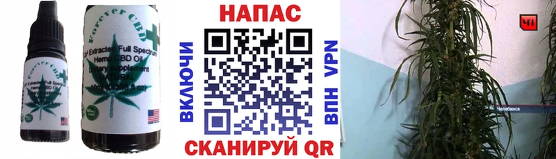дарнет шоп  Новошахтинск  Cannafood марихуана 