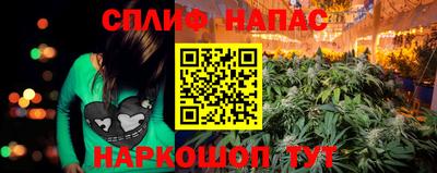 прущие крисы Славгород