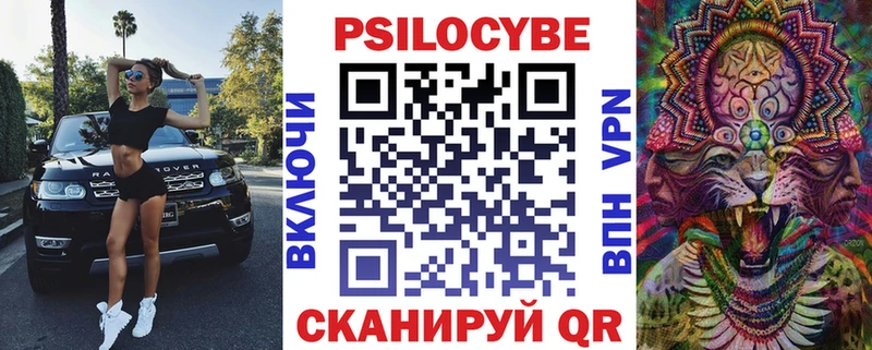 купить наркоту  Новошахтинск  Псилоцибиновые грибы мицелий 