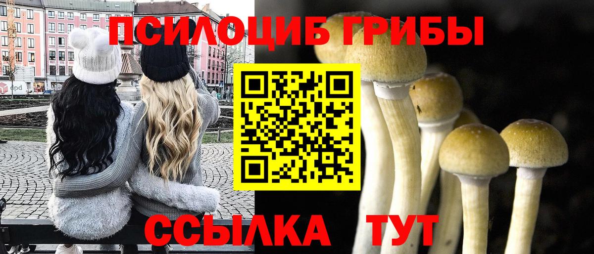 Галлюциногенные грибы прущие грибы Новошахтинск