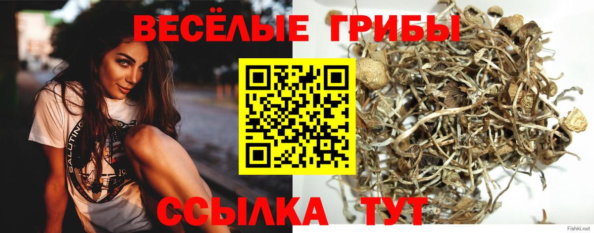 Новошахтинск  Псилоцибиновые грибы Cubensis  Псилоцибиновые грибы GOLDEN TEACHER  Вход с VPN 