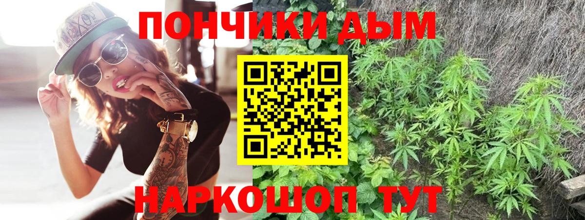 Конопля SATIVA & INDICA  Вход с VPN  Бошки марихуана сатива  Новошахтинск  Конопля SATIVA & INDICA 